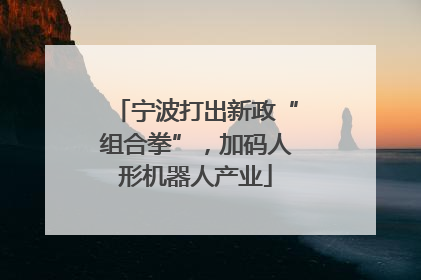 宁波打出新政“组合拳”，加码人形机器人产业