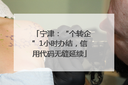宁津：“个转企”1小时办结，信用代码无缝延续