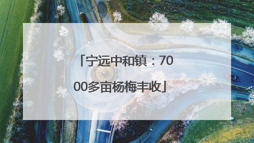 宁远中和镇：7000多亩杨梅丰收