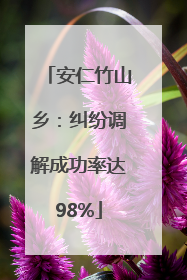 安仁竹山乡：纠纷调解成功率达98%