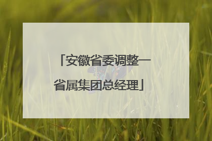 安徽省委调整一省属集团总经理