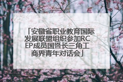 安徽省职业教育国际发展联盟组织参加RCEP成员国暨长三角工商界青年对话会