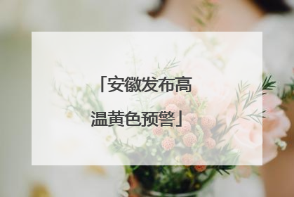 安徽发布高温黄色预警