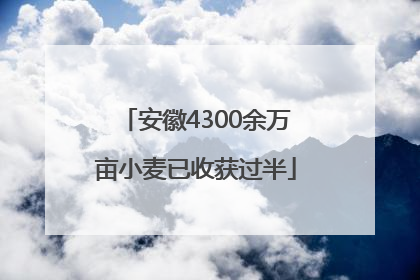 安徽4300余万亩小麦已收获过半