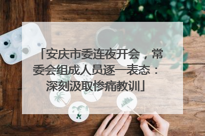 安庆市委连夜开会，常委会组成人员逐一表态：深刻汲取惨痛教训