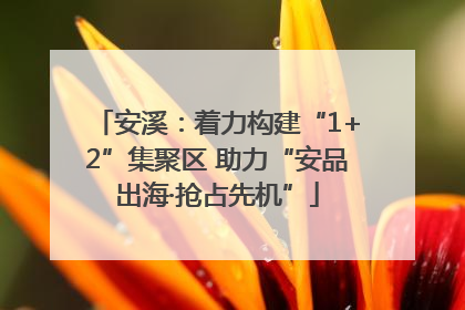 安溪：着力构建“1+2”集聚区 助力“安品出海·抢占先机”