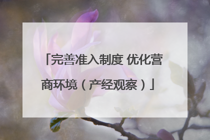 完善准入制度 优化营商环境（产经观察）