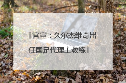 官宣：久尔杰维奇出任国足代理主教练