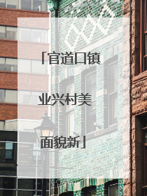官道口镇 业兴村美面貌新