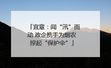 宜章：闻“汛”而动 政企携手为烟农撑起“保护伞”