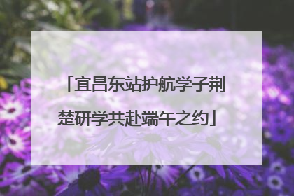 宜昌东站护航学子荆楚研学共赴端午之约