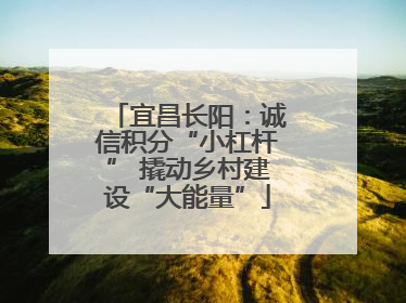 宜昌长阳：诚信积分“小杠杆” 撬动乡村建设“大能量”