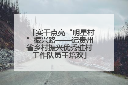 实干点亮“明星村”振兴路——记贵州省乡村振兴优秀驻村工作队员王培欢