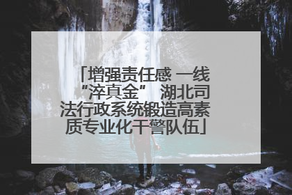 增强责任感 一线“淬真金” 湖北司法行政系统锻造高素质专业化干警队伍