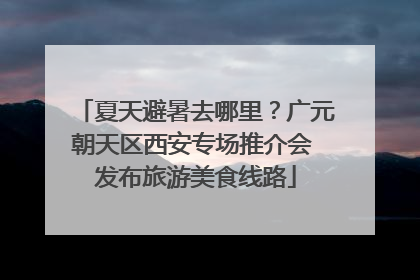 夏天避暑去哪里？广元朝天区西安专场推介会 发布旅游美食线路