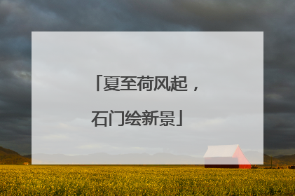 夏至荷风起，石门绘新景