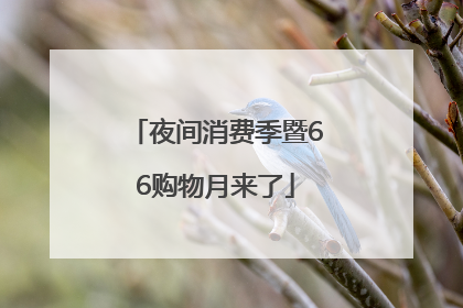 夜间消费季暨66购物月来了