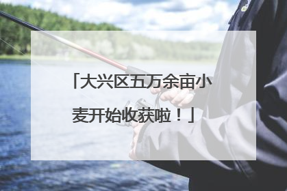大兴区五万余亩小麦开始收获啦！
