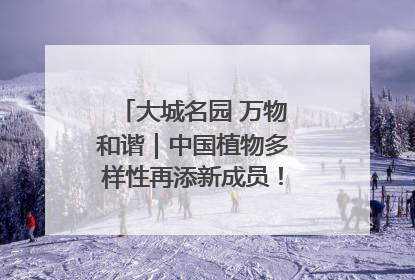 大城名园 万物和谐｜中国植物多样性再添新成员！它只在西藏墨脱