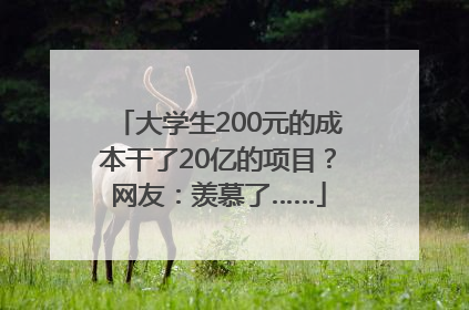 大学生200元的成本干了20亿的项目？网友：羡慕了……