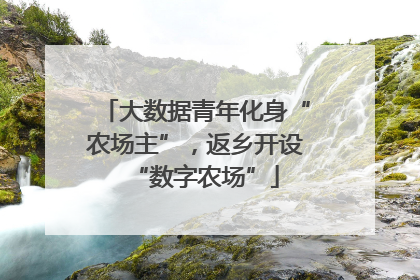 大数据青年化身“农场主”，返乡开设“数字农场”