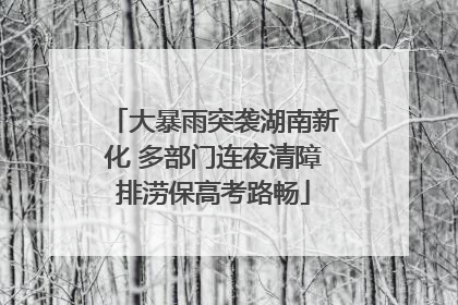 大暴雨突袭湖南新化 多部门连夜清障排涝保高考路畅