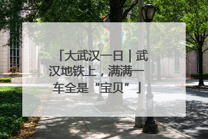 大武汉一日｜武汉地铁上，满满一车全是“宝贝”