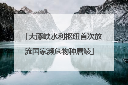 大藤峡水利枢纽首次放流国家濒危物种唇鲮