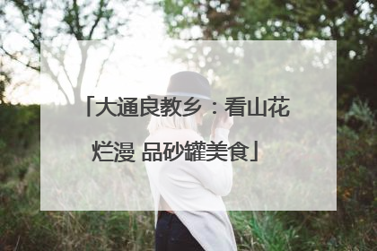 大通良教乡：看山花烂漫 品砂罐美食