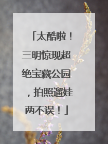 太酷啦！三明惊现超绝宝藏公园，拍照遛娃两不误！