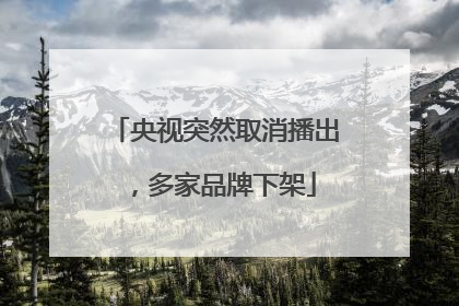 央视突然取消播出，多家品牌下架