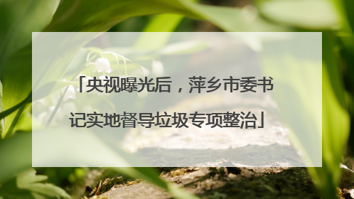 央视曝光后，萍乡市委书记实地督导垃圾专项整治