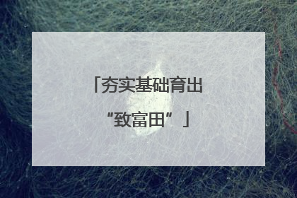 夯实基础育出“致富田”