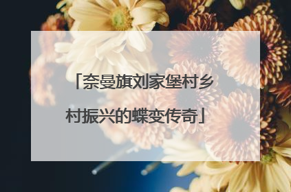 奈曼旗刘家堡村乡村振兴的蝶变传奇
