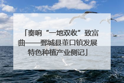 奏响“一地双收”致富曲——鄄城县董口镇发展特色种植产业侧记