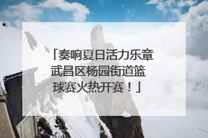奏响夏日活力乐章 武昌区杨园街道篮球赛火热开赛！