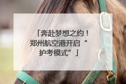 奔赴梦想之约！郑州航空港开启“护考模式”