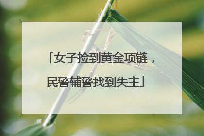 女子捡到黄金项链，民警辅警找到失主