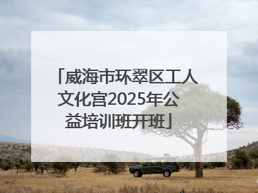 威海市环翠区工人文化宫2025年公益培训班开班