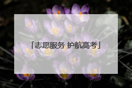 志愿服务 护航高考