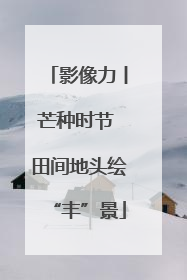 影像力丨芒种时节 田间地头绘“丰”景
