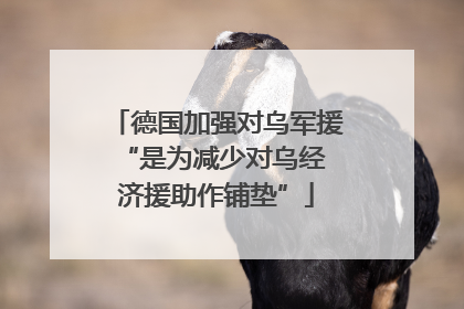 德国加强对乌军援 “是为减少对乌经济援助作铺垫”