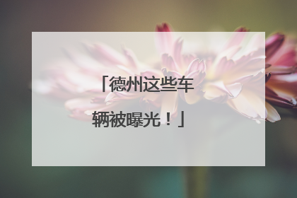 德州这些车辆被曝光！