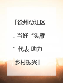 徐州贾汪区：当好“头雁”代表 助力乡村振兴