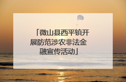 微山县西平镇开展防范涉农非法金融宣传活动