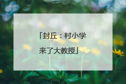 封丘：村小学来了大教授