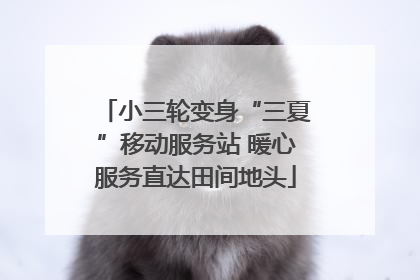 小三轮变身“三夏”移动服务站 暖心服务直达田间地头