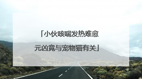 小伙咳喘发热难愈 元凶竟与宠物猫有关