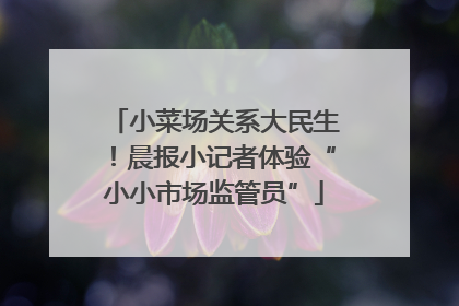 小菜场关系大民生！晨报小记者体验“小小市场监管员”