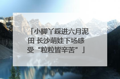 小脚丫踩进六月泥田 长沙萌娃下场感受“粒粒皆辛苦”